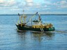 Die niederländische Küste und ihre Fischer: Eine historische Perspektive auf das Angeln
